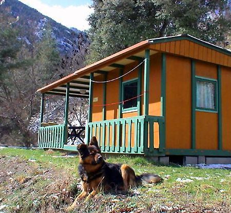 Chalet-Bungalow Ombrage Escaro Екстериор снимка