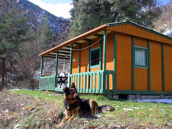 Chalet-Bungalow Ombrage Escaro Екстериор снимка