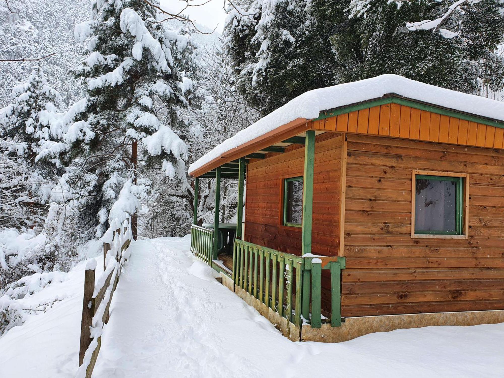 Chalet-Bungalow Ombrage Escaro Екстериор снимка